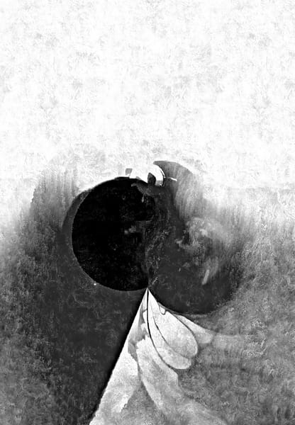Warp Experiement Project (4)